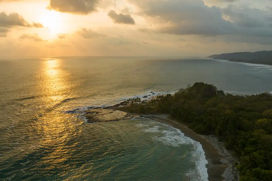 Beach and crocodile Tour